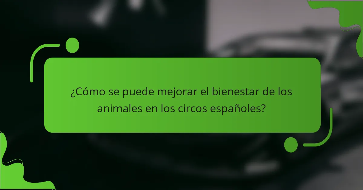 ¿Cómo se puede mejorar el bienestar de los animales en los circos españoles?
