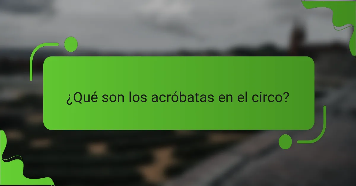 ¿Qué son los acróbatas en el circo?